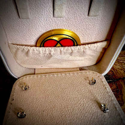 Park Day Magic — Castle Jewelry Travel Case